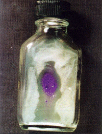 Click here for figure 5