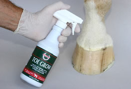 Toe Grow Spray
